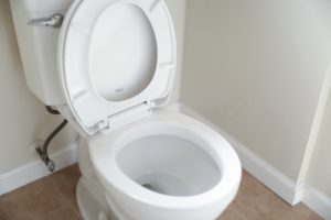 Best Toilet Bowl Cleaner 